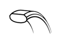 Concave 