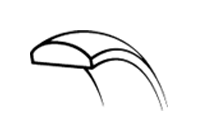 D-Shape 