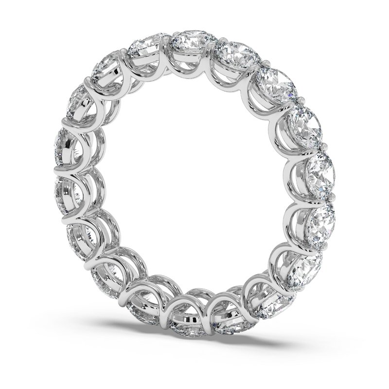 Platinum Naya Eternity Band